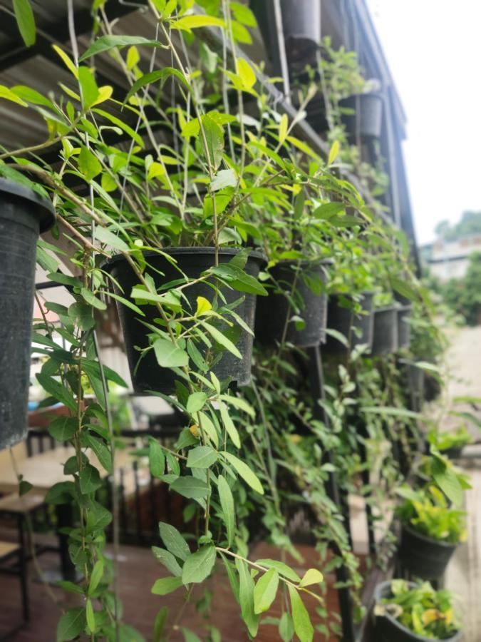 チエンマイ Nai Wiang Poshtelホステル エクステリア 写真
